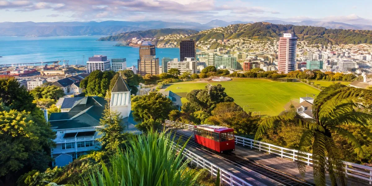 Vietnamese Workers: Which New Zealand Industries and Regions Are Growing?